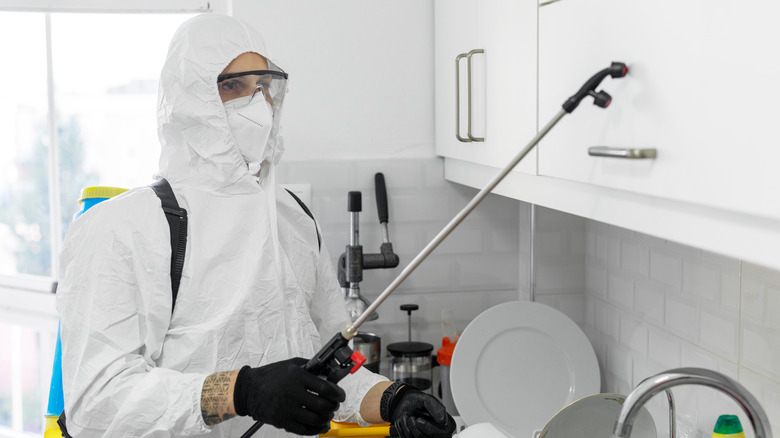 شركة مكافحة حشرات