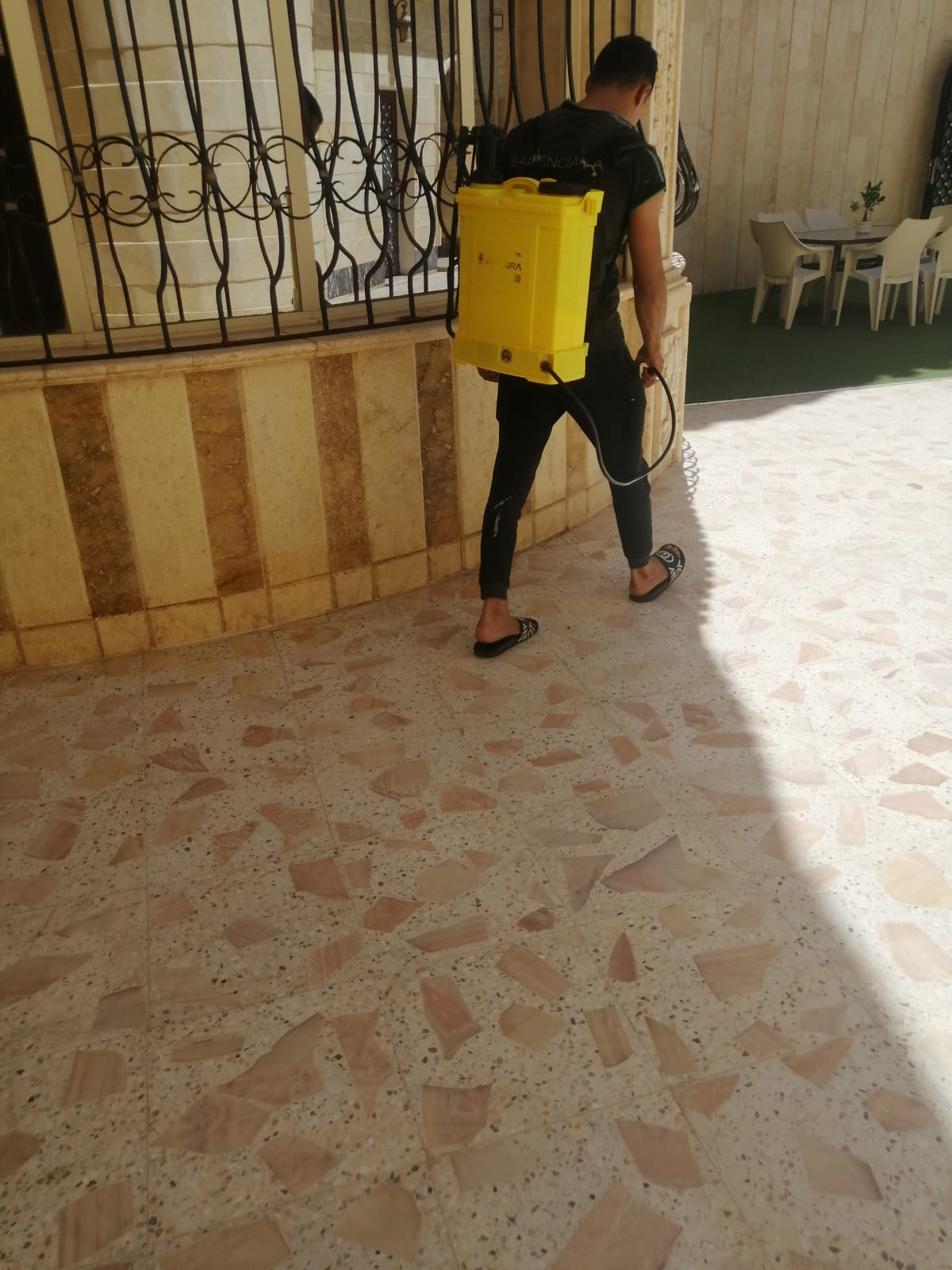 شركة مكافحة حشرات بجازان