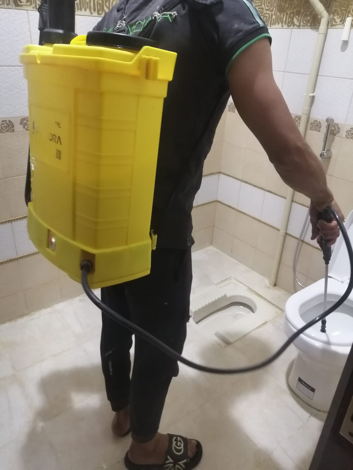 شركة مكافحة حشرات بجازان