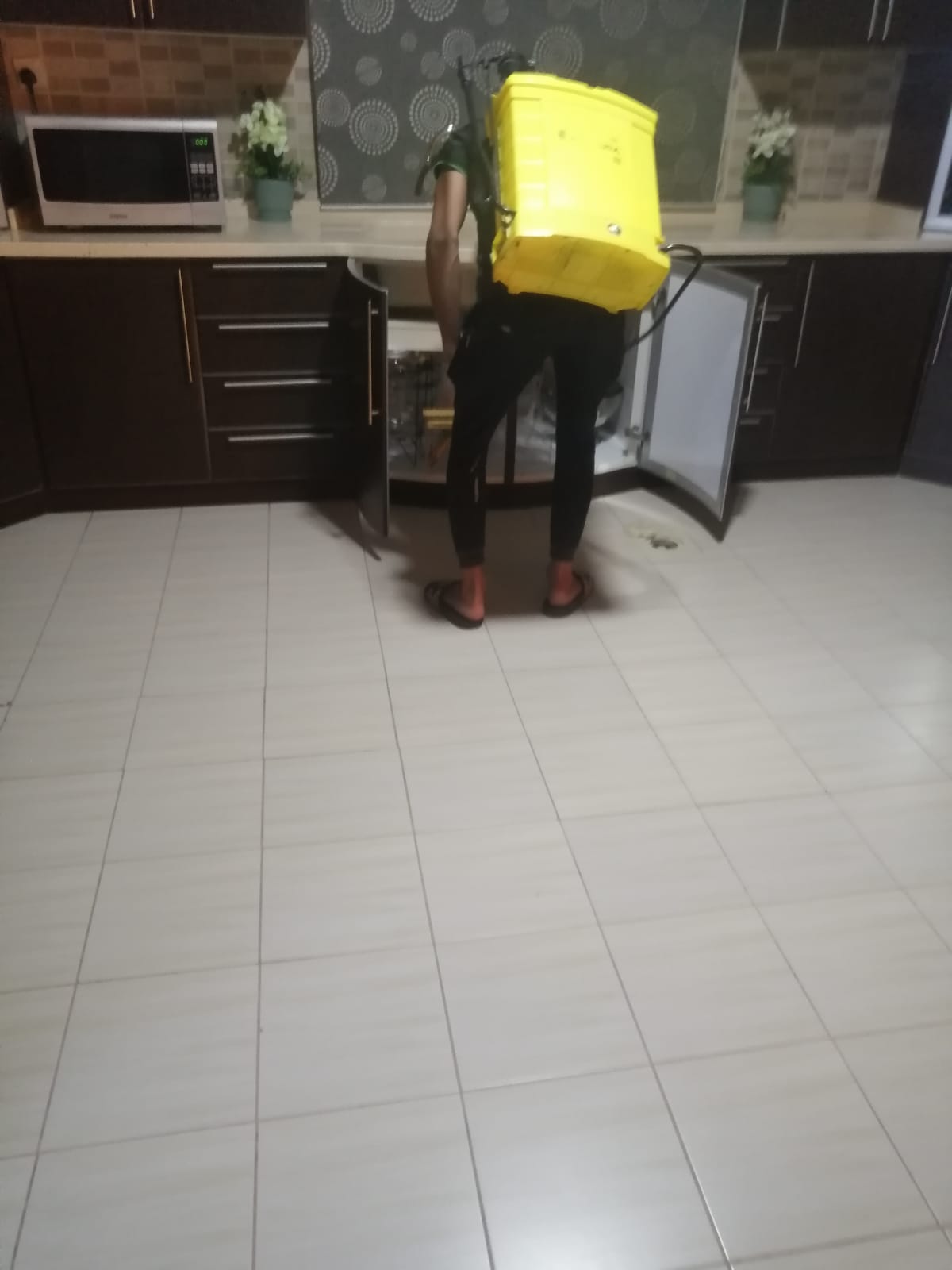 شركة مكافحة حشرات بجازان