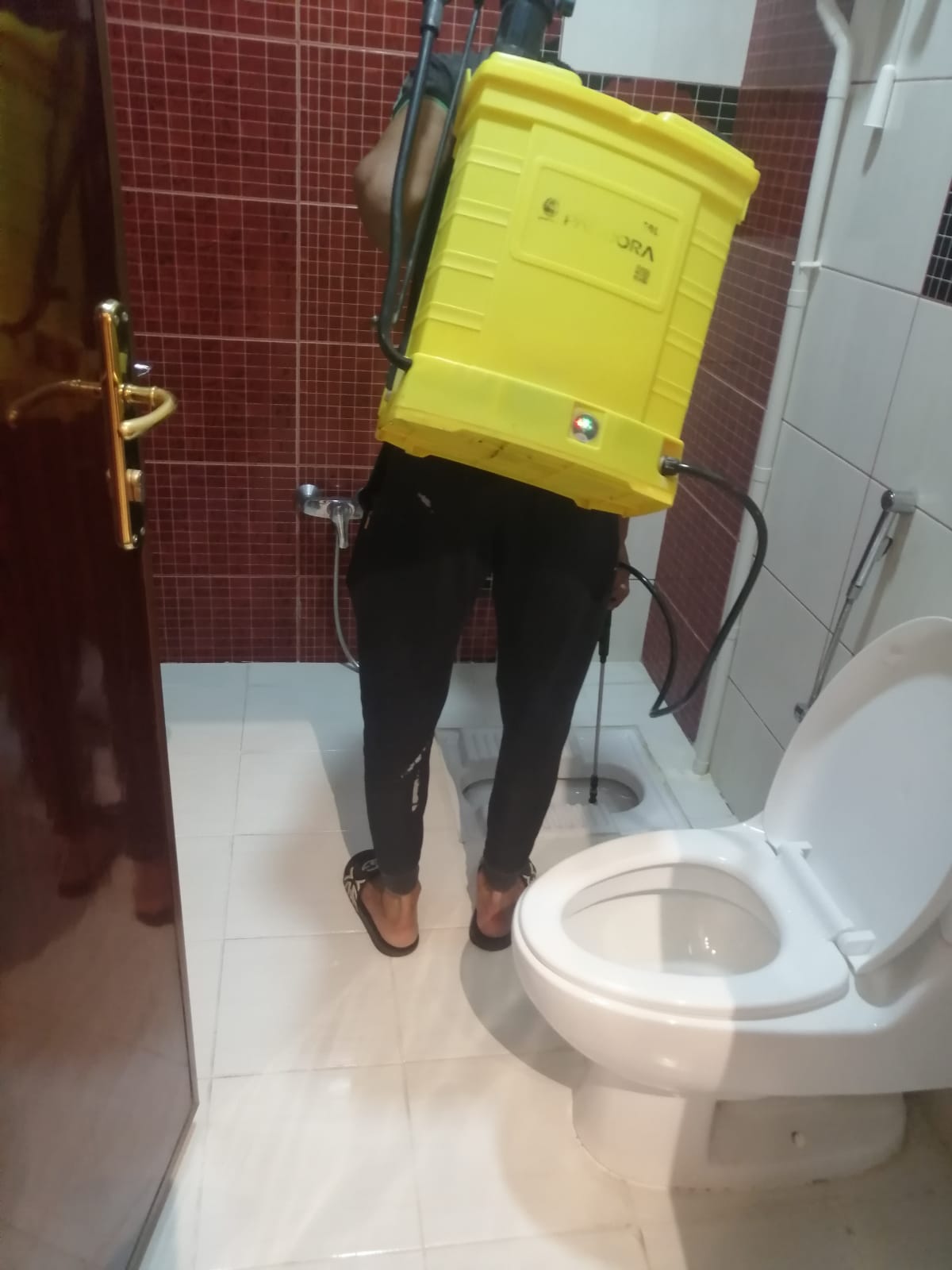 شركة مكافحة حشرات بجازان