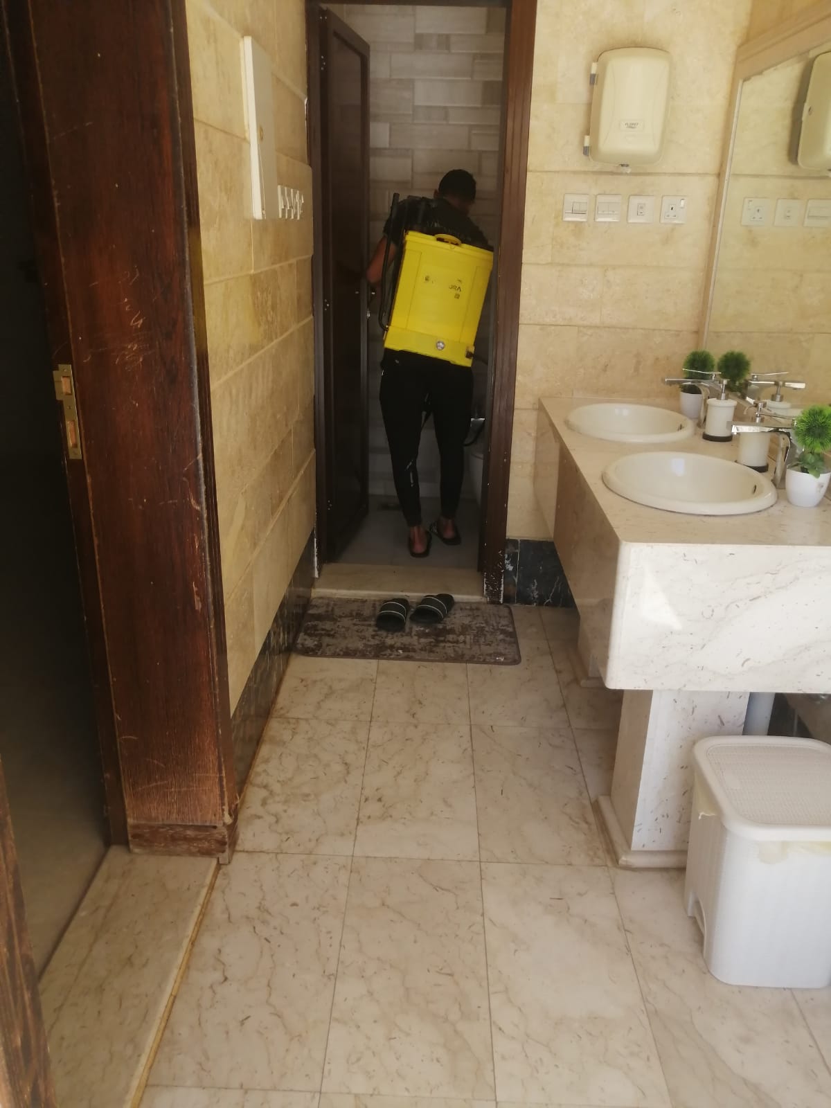 شركة مكافحة حشرات بجازان