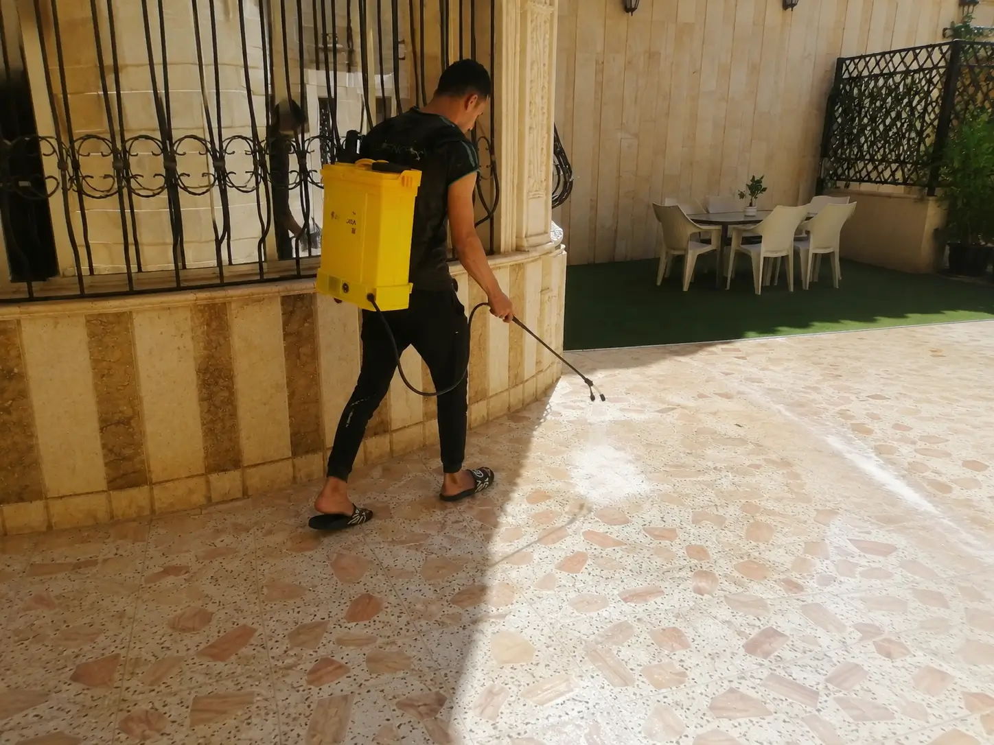 شركة مكافحة حشرات بنجران